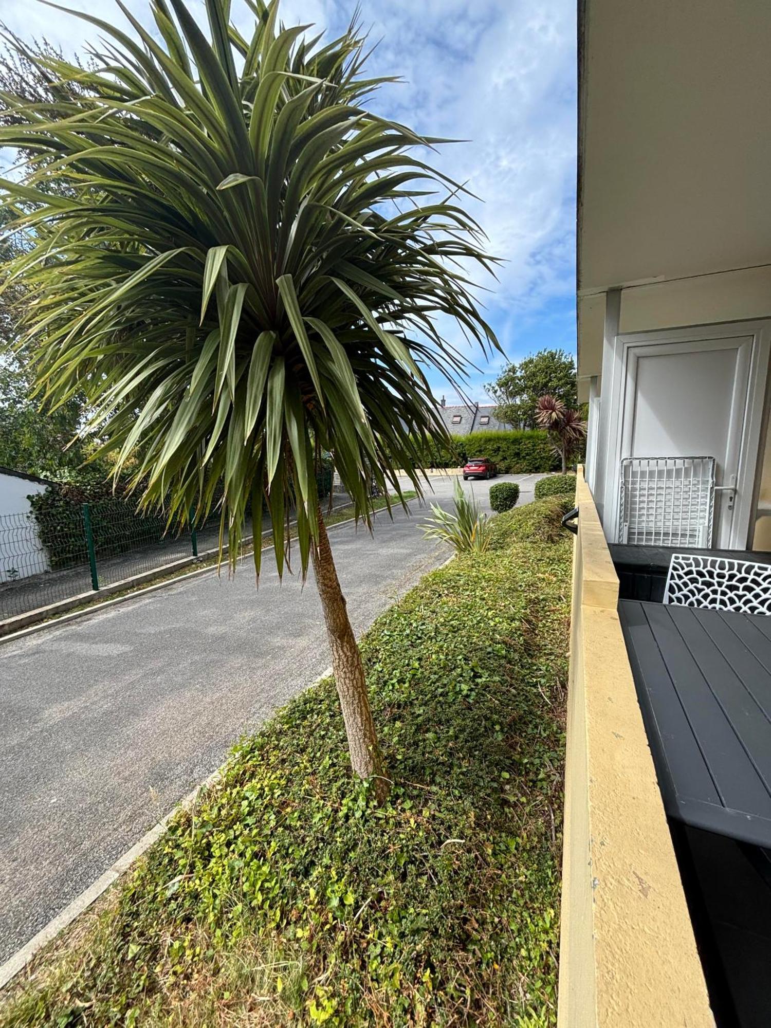 Appartement Studio 4 Personnes Dans Residence Avec Piscine Quiberon Zewnętrze zdjęcie